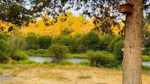 20052 Beaver Ln, Bend, OR 97703 photo 10