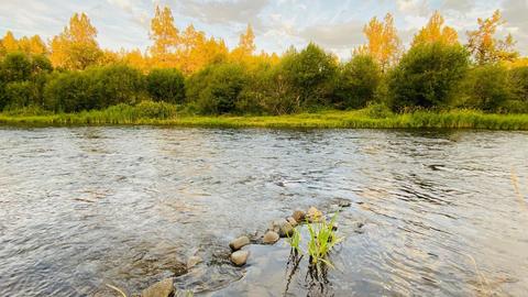 20052 Beaver Ln, Bend, OR 97703 photo 2