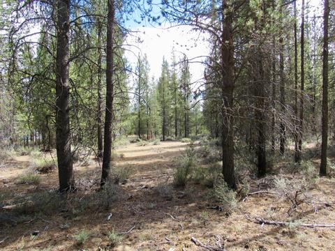 52195 Lechner Ln, La Pine, OR 97739 photo 12