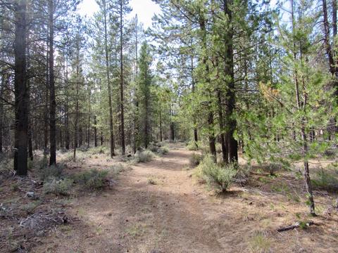52195 Lechner Ln, La Pine, OR 97739 photo 4