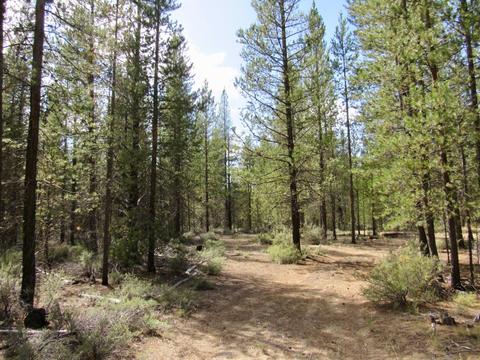 52195 Lechner Ln, La Pine, OR 97739 photo 13