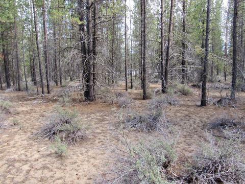 52195 Lechner Ln, La Pine, OR 97739 photo 7