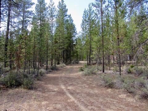 52195 Lechner Ln, La Pine, OR 97739 photo 2