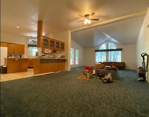 855 Logan Cut Dr, Cave Junction, OR 97523 photo 3