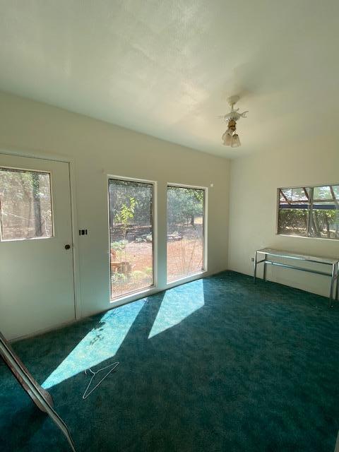 855 Logan Cut Dr, Cave Junction, OR 97523 photo 24