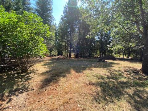 855 Logan Cut Dr, Cave Junction, OR 97523 photo 5