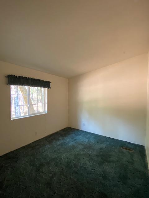 855 Logan Cut Dr, Cave Junction, OR 97523 photo 10