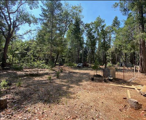 855 Logan Cut Dr, Cave Junction, OR 97523 photo 28