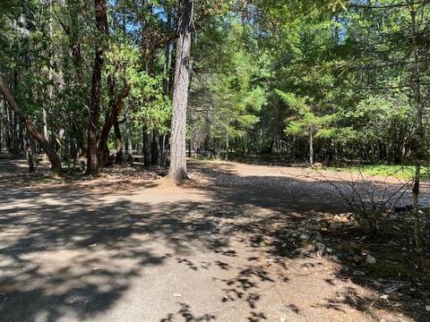 855 Logan Cut Dr, Cave Junction, OR 97523 photo 30