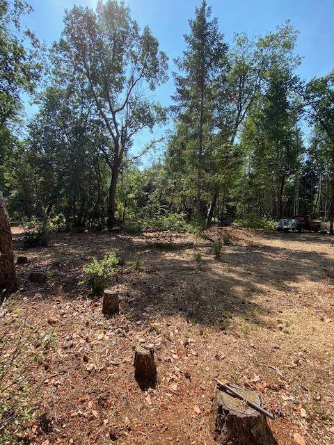 855 Logan Cut Dr, Cave Junction, OR 97523 photo 33