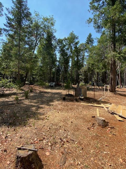 855 Logan Cut Dr, Cave Junction, OR 97523 photo 29