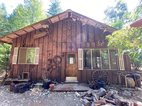 855 Logan Cut Dr, Cave Junction, OR 97523 photo 19