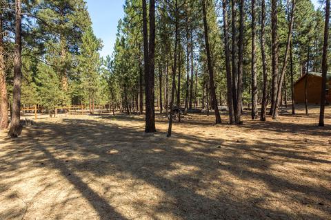 51932 Black Pine Way, La Pine, OR 97739 photo 18
