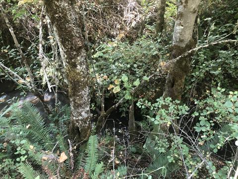 173 Arrowhead Dr, O'brien, OR 97534 photo 9