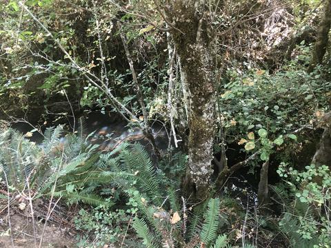 173 Arrowhead Dr, O'brien, OR 97534 photo 3
