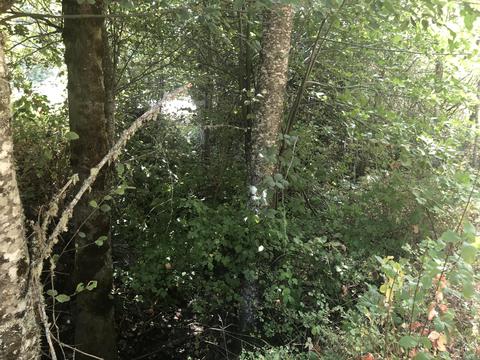 173 Arrowhead Dr, O'brien, OR 97534 photo 6
