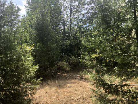 173 Arrowhead Dr, O'brien, OR 97534 photo 2
