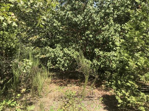 173 Arrowhead Dr, O'brien, OR 97534 photo 18