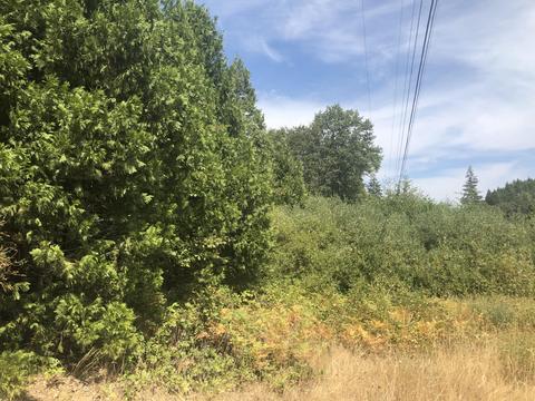 173 Arrowhead Dr, O'brien, OR 97534 photo 17