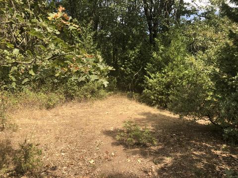 173 Arrowhead Dr, O'brien, OR 97534 photo 1