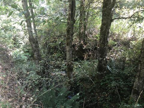 173 Arrowhead Dr, O'brien, OR 97534 photo 5