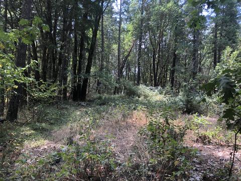173 Arrowhead Dr, O'brien, OR 97534 photo 10