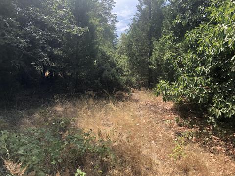 173 Arrowhead Dr, O'brien, OR 97534 photo 20