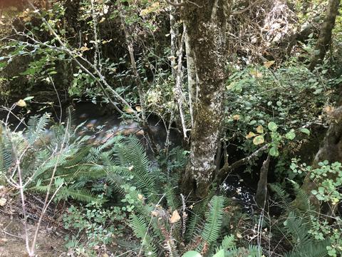 173 Arrowhead Dr, O'brien, OR 97534 photo 7