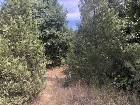 173 Arrowhead Dr, O'brien, OR 97534 photo 19