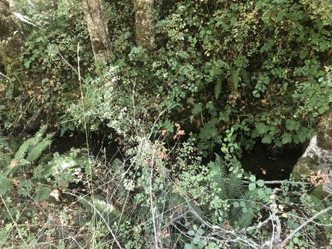 173 Arrowhead Dr, O'brien, OR 97534 photo 4
