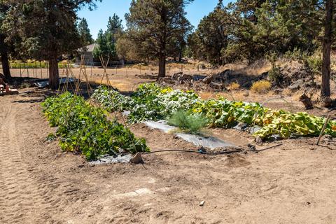 64615 Hunnell Rd, Bend, OR 97703 photo 29