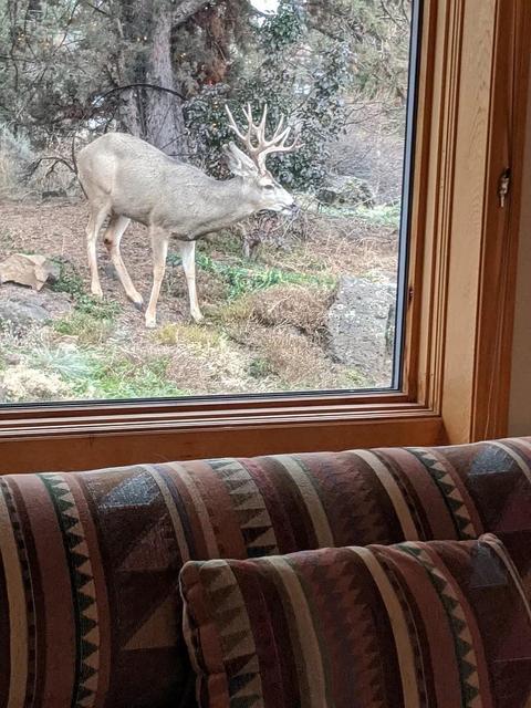63536 Vogt Rd, Bend, OR 97701 photo 31