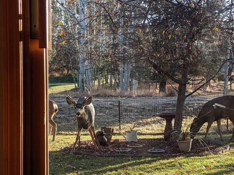63536 Vogt Rd, Bend, OR 97701 photo 33