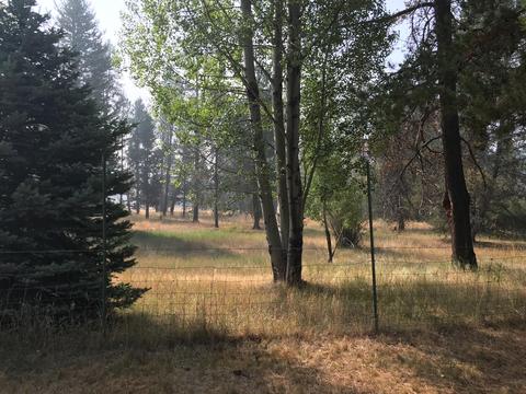 51636 Pine Loop Dr, La Pine, OR 97739 photo 4