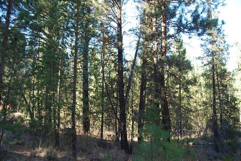 55029 Mallard Dr, Bend, OR 97707 photo 7