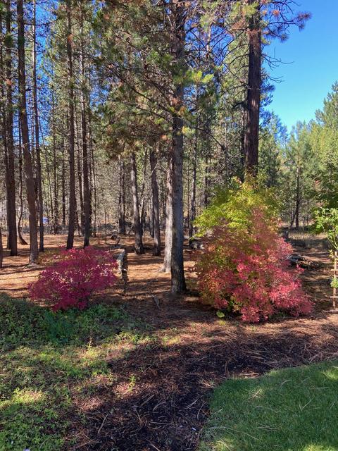 53335 Deep Woods Rd, La Pine, OR 97739 photo 10