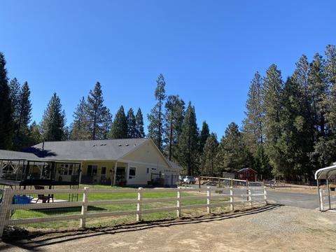 2510 Cedar Flat Rd, Williams, OR 97544 photo 48