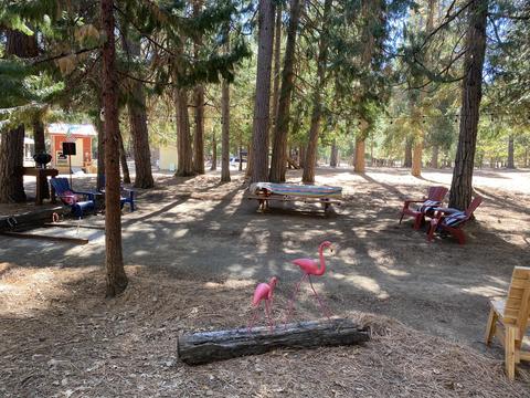 2510 Cedar Flat Rd, Williams, OR 97544 photo 43