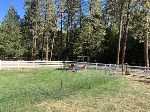 2510 Cedar Flat Rd, Williams, OR 97544 photo 37