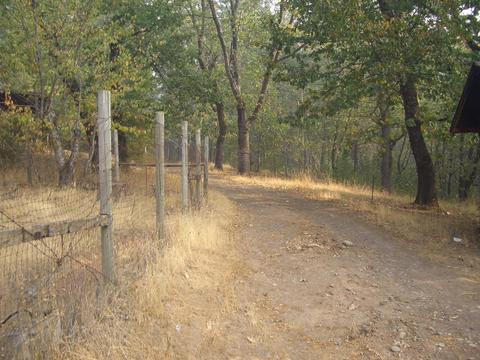 360 June Dr, Cave Junction, OR 97523 photo 13