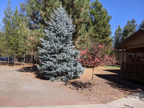 16291 Earl Ct, La Pine, OR 97739 photo 32