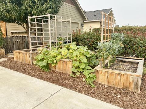 1158 Rustler Peak St, Central Point, OR 97502 photo 25