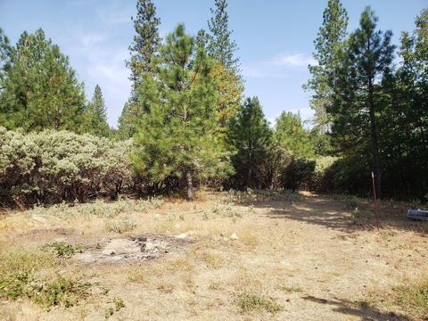 507 Crest Dr, Cave Junction, OR 97523 photo 6