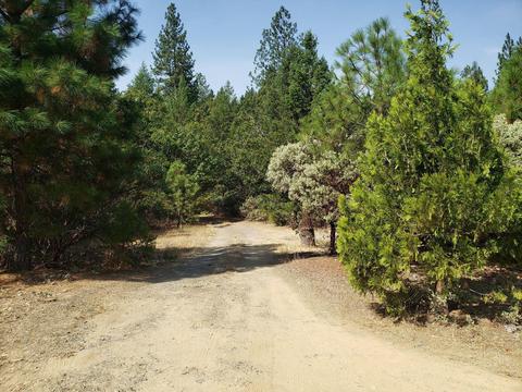 507 Crest Dr, Cave Junction, OR 97523 photo 4