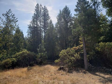 507 Crest Dr, Cave Junction, OR 97523 photo 3