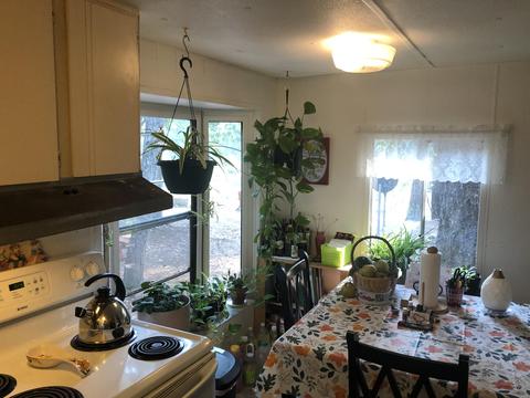 9439 Holland Loop Rd, Cave Junction, OR 97523 photo 12