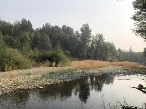 9439 Holland Loop Rd, Cave Junction, OR 97523 photo 5