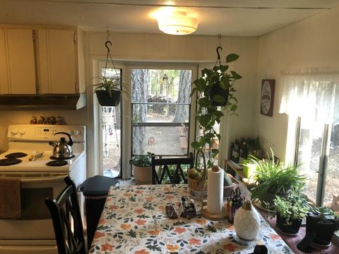 9439 Holland Loop Rd, Cave Junction, OR 97523 photo 13