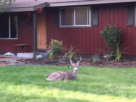 20380 Rae Rd, Bend, OR 97702 photo 3