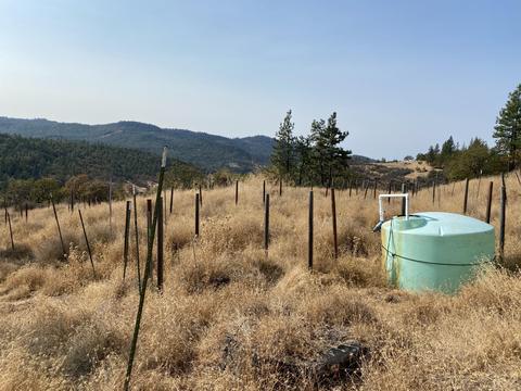 9463 E Antelope Rd, Eagle Point, OR 97524 photo 9